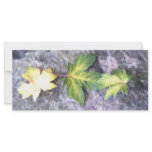 Fallen rack cards
