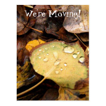 Fallen Splendour; Change of Address Postcards