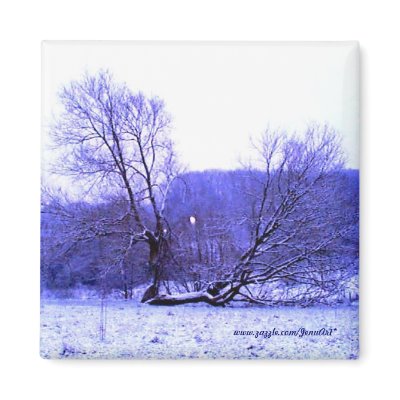 Fallen Tree Blue Magnet by JenuArt