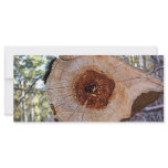 Fallen Tree Custom Rack Card