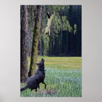 FALLING CAT POSTER