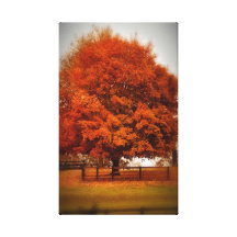 Falling Down Wrapped Canvas Stretched Canvas Print