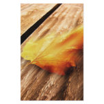 Falling Leave