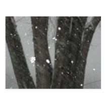 Falling Snow Postcard postcards
