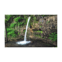 Falling Spring Canvas Print