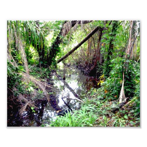 Falling Trees Green River Banks Posterized Photographic Print