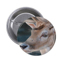 Fallow Deer Button