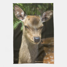 Fallow Deer Kitchen Towel