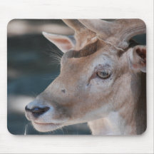 Fallow Deer Mouse Pad