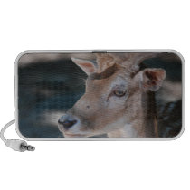 Fallow Deer Portable Speakers