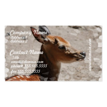 Fallow Deer Profile Business Cards