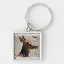Fallow Deer Profile  Keychain
