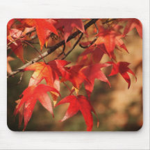 Fall's Beauty Mouse Pad