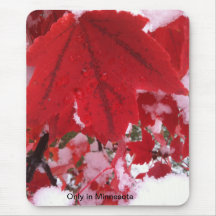 Fall's snow mouse pads