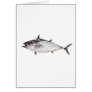 False Albacore Greeting Cards