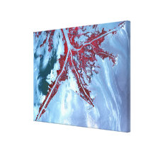 False colour satellite canvas print
