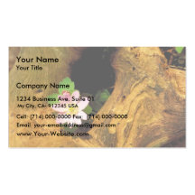 False Rue Anemone Business Card