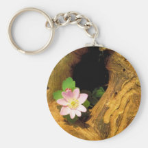 False Rue Anemone Keychains