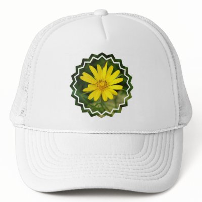 False Sunflower Baseball Hat by PerennialGardens
