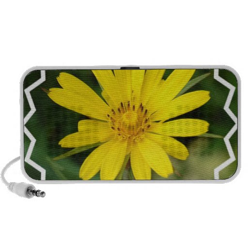False Sunflower Speakers