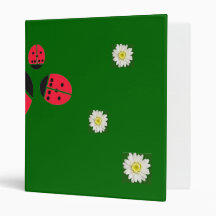 famille de coccinelle