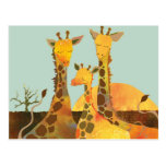 Famille de girafe carte postale