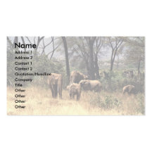 Famille d'éléphant dans le buisson carte de visite