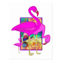 Famille des flamants cartes postales