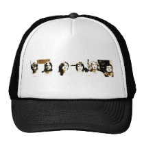 Famille du chapeau d'année chapeaux