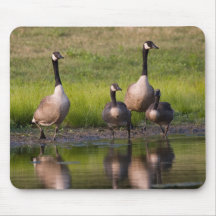 Famille Mousepad d'oie du Canada Tapis De Souris