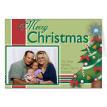 Family Christmas Card-2