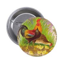 Family of Chickens Pinback Buttons