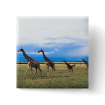 Family of Giraffes Pins