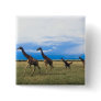 Family of Giraffes Pins