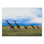 Family of Giraffes Greeting Card