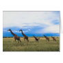 Family of Giraffes Greeting Card