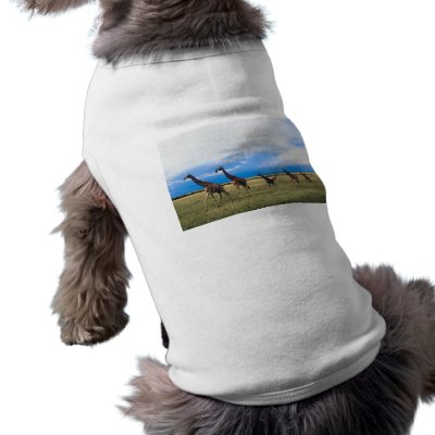 Family of Giraffes Pet Tshirt by alternateworlds