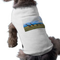 Family of Giraffes pet clothing