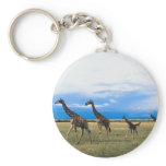 Family of Giraffes keychains