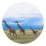 Family of Giraffes Sticker