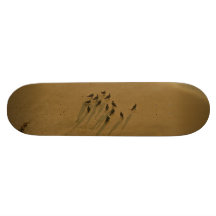 FAMILY REUNION OF SORTS AT THE BEACH SKATEBOARDS