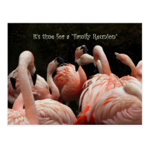 Family Reunion Post Cards
