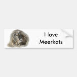 Family Ties Bumper Sticker