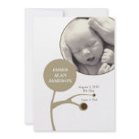Family Tree: Birth Announcement