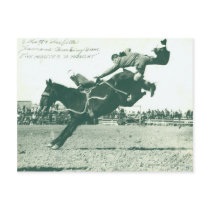 Famous Bucking Bronc Five Minutes Postcard