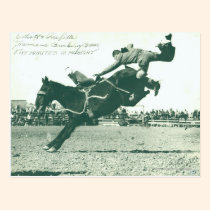 Famous Bucking Bronc Five Minutes postcards