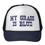 "Famous" My Grass Is Blue Mesh Hats