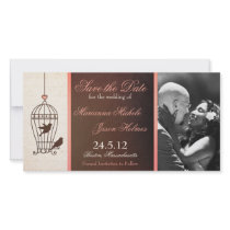 Fanciful Birdcage Chocolate & Pink Save the Date Photo Greeting Card