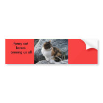 fancy cat lovers among us all bumper sticker bumper stickers