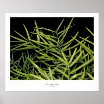 Fancy Foilage I Print